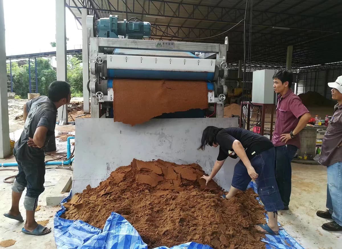 cassava potato dehydration